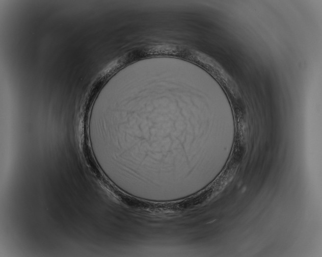 X0000086760729200705111714