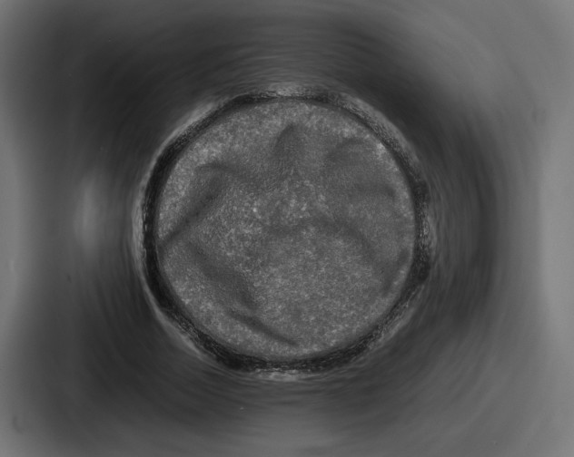 X0000086760730200705111714