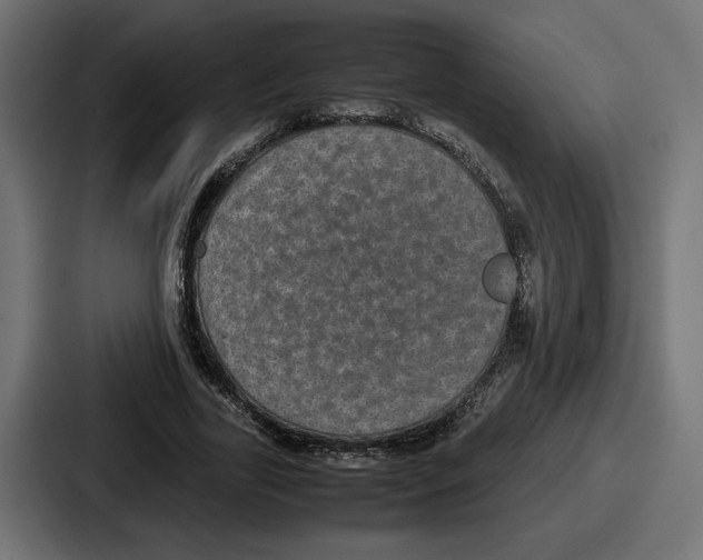 X0000086760731200705111714