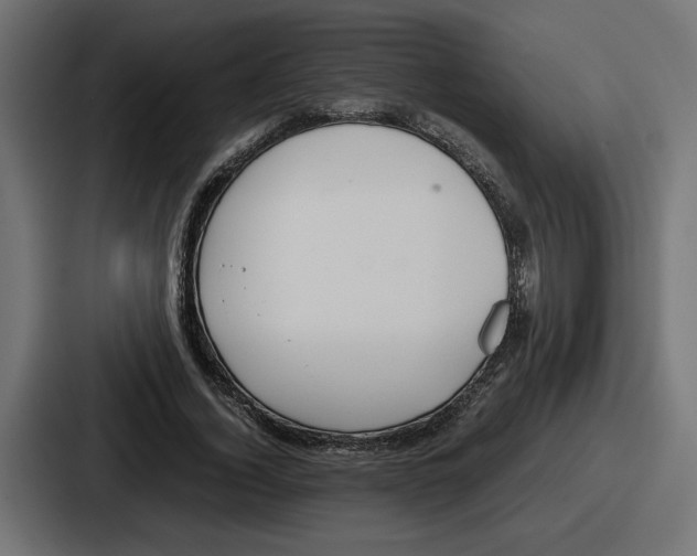 X0000086760732200705111714