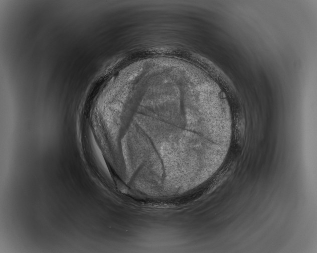 X0000086760734200705111714