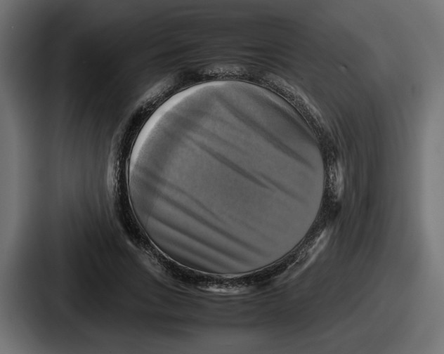 X0000086760735200705111714