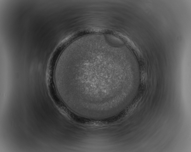 X0000086760736200705111714