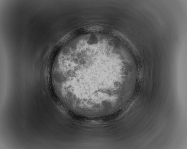 X0000086760737200705111714