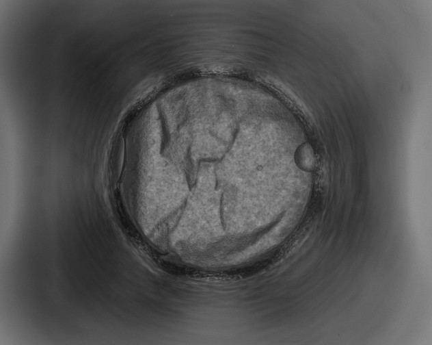 X0000086760738200705111714