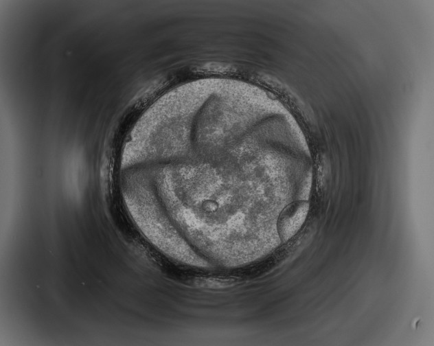 X0000086760739200705111714