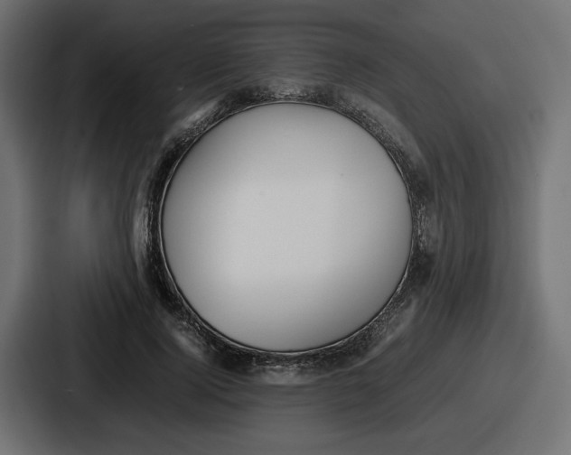 X0000086760740200705111714