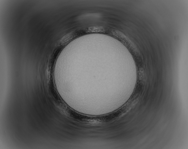 X0000086760741200705111714