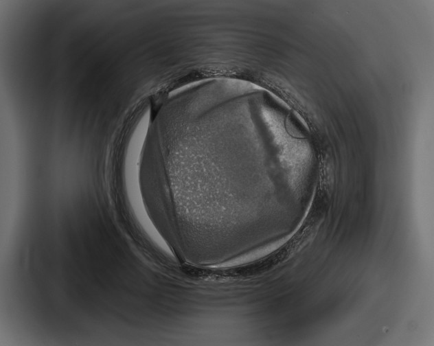 X0000086760742200705111714