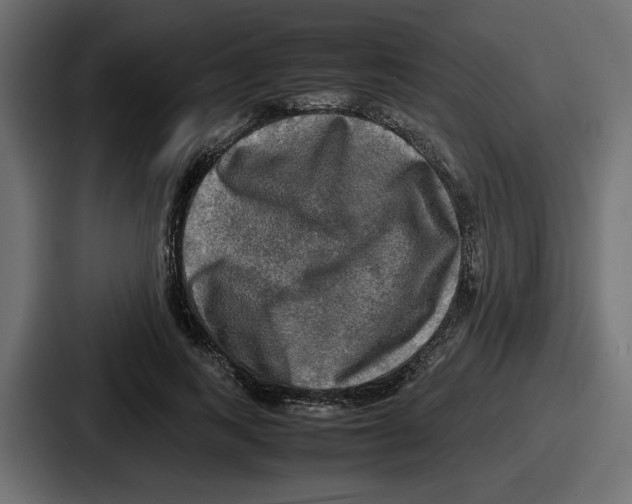 X0000086760743200705111714