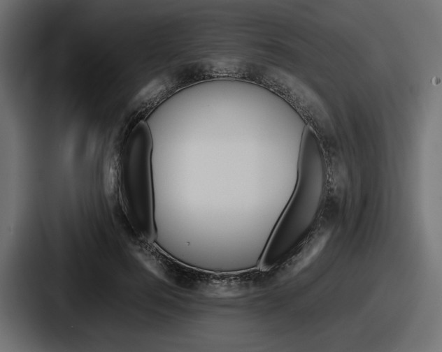 X0000086760744200705111714