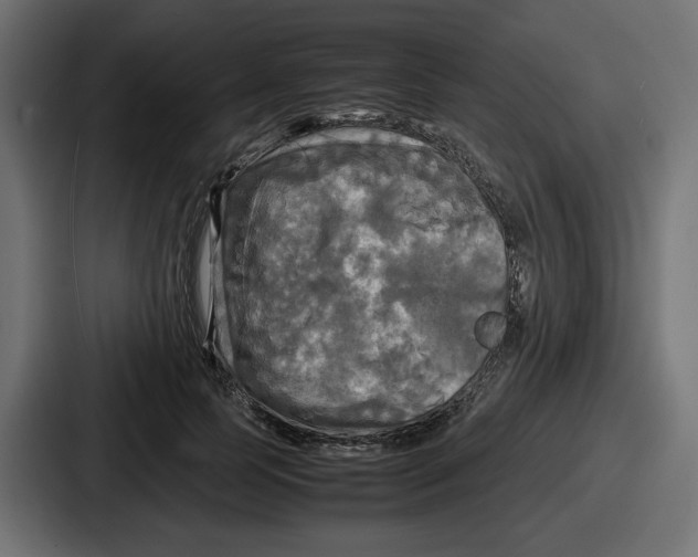 X0000086760745200705111714