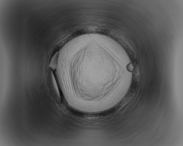 X0000086760746200705111715