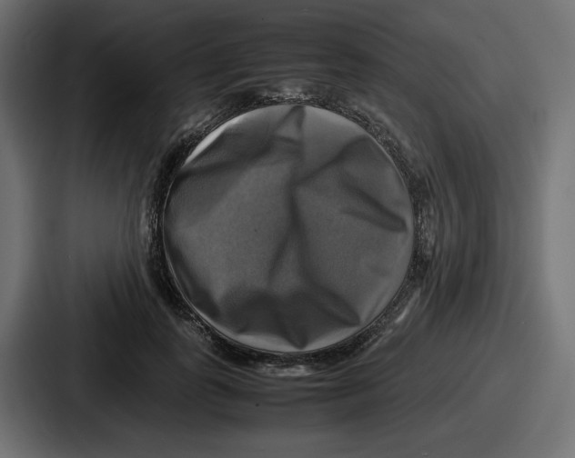 X0000086760747200705111715