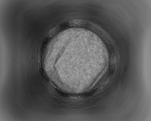 X0000086760749200705111715