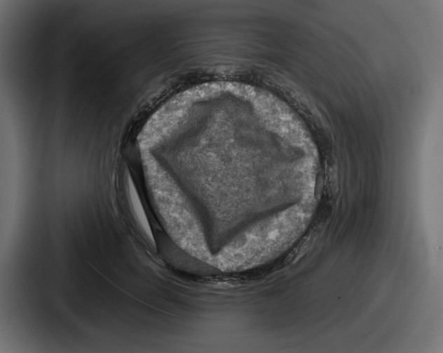 X0000086760750200705111715