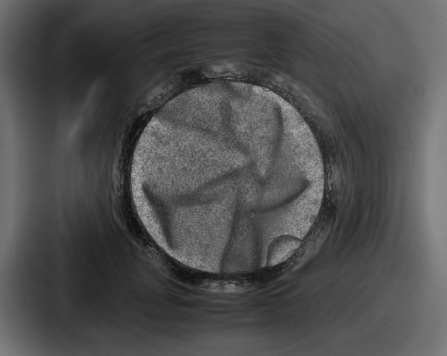 X0000086760751200705111715