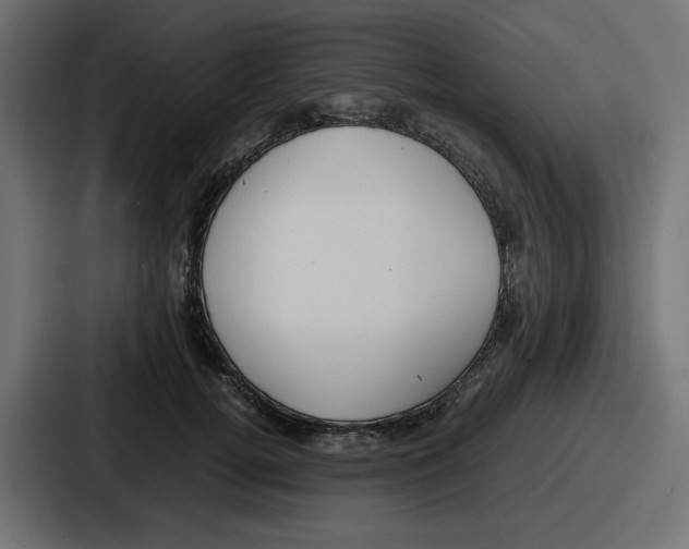 X0000086760752200705111715
