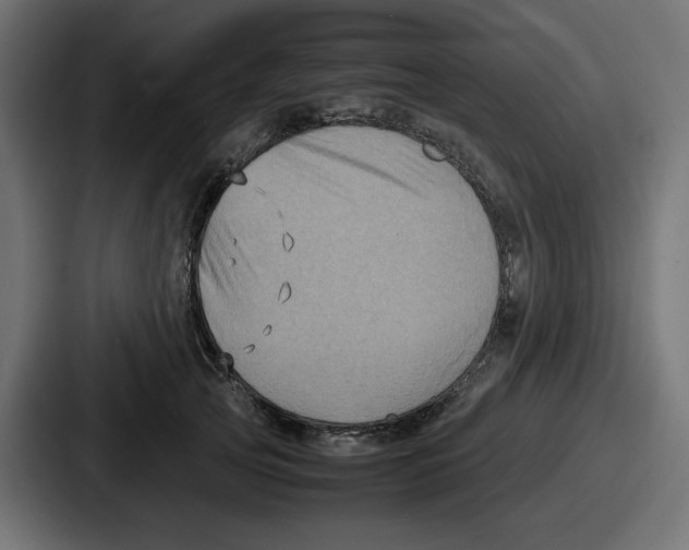 X0000086760753200705111715