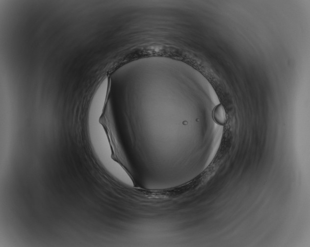 X0000086760754200705111715