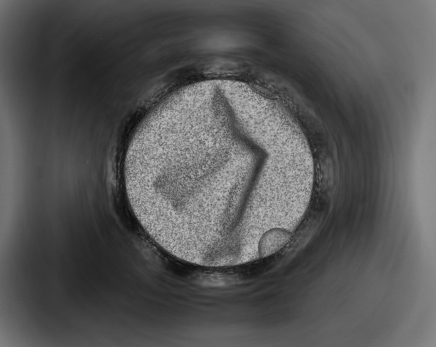 X0000086760755200705111715