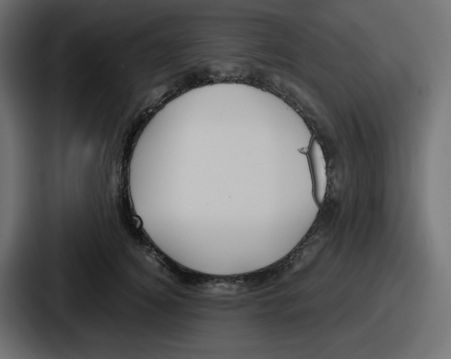 X0000086760756200705111715