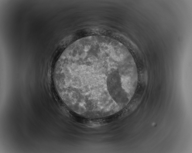 X0000086760757200705111715