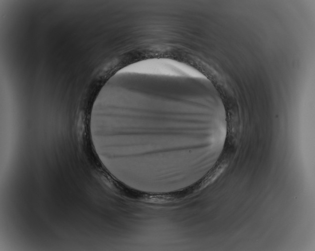 X0000086760758200705111715