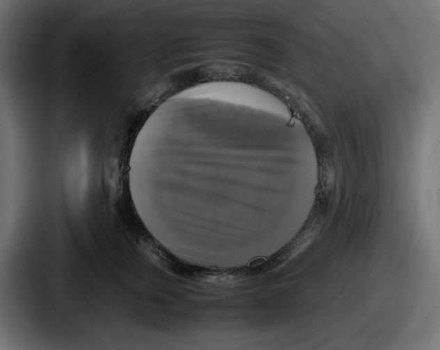 X0000086760759200705111715
