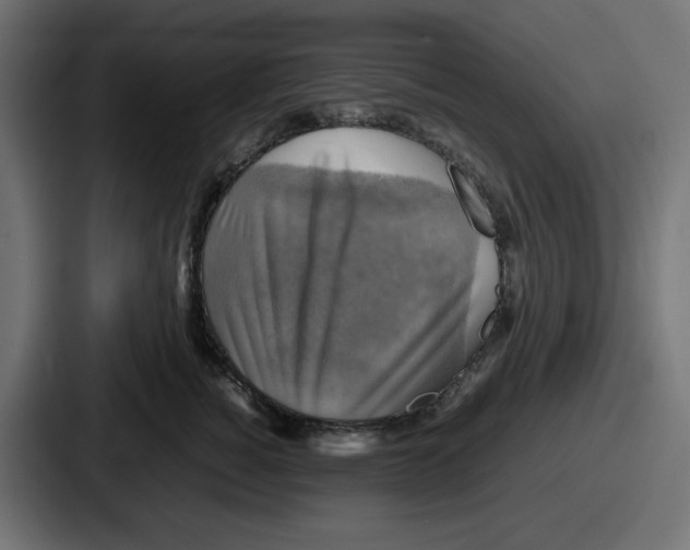 X0000086760760200705111715