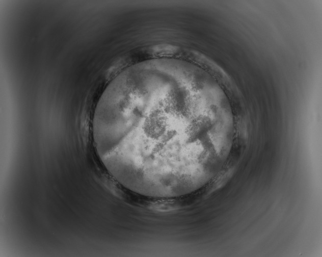 X0000086760761200705111715