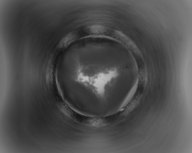 X0000086760762200705111715