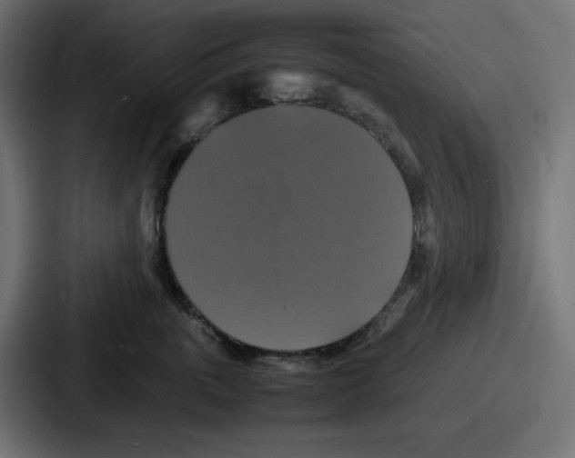 X0000086760763200705111715