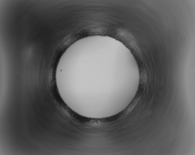 X0000086760764200705111715