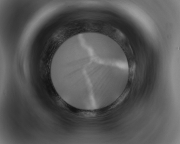 X0000086760765200705111715