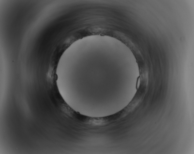 X0000086760767200705111715