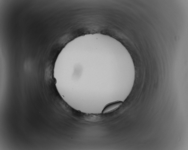 X0000086760768200705111715