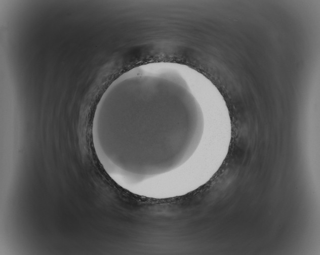 X0000086760769200705111714