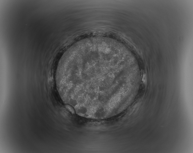 X0000086760771200705111714