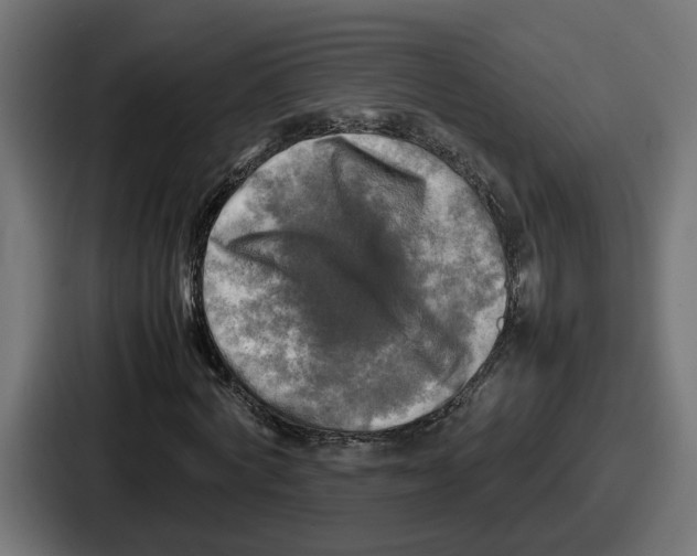 X0000086760772200705111714