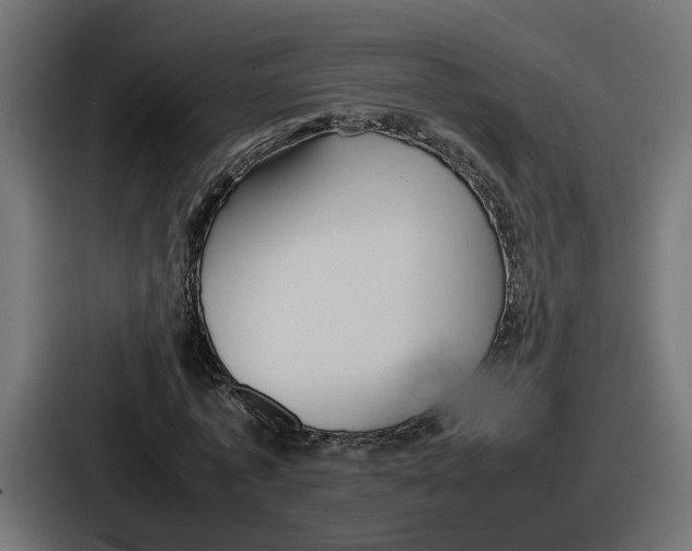 X0000086760773200705111714