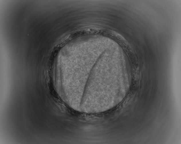 X0000086760774200705111714