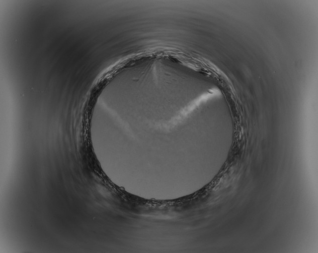 X0000086760775200705111714