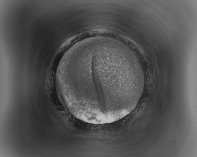 X0000086760776200705111714