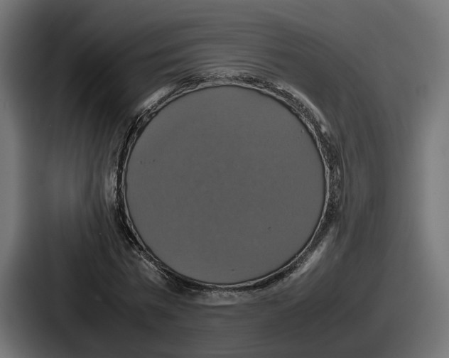 X0000086760777200705111714