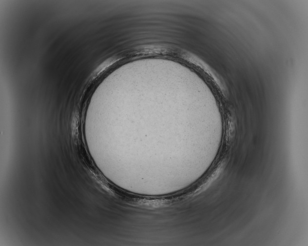 X0000086760778200705111714