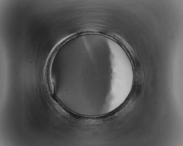 X0000086760779200705111714