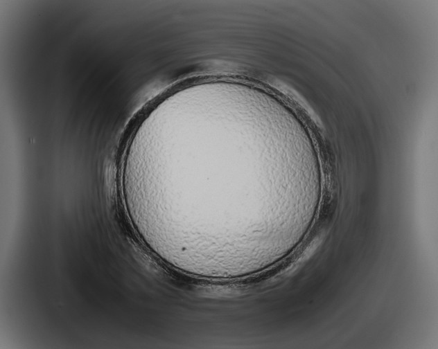 X0000086760781200705111714