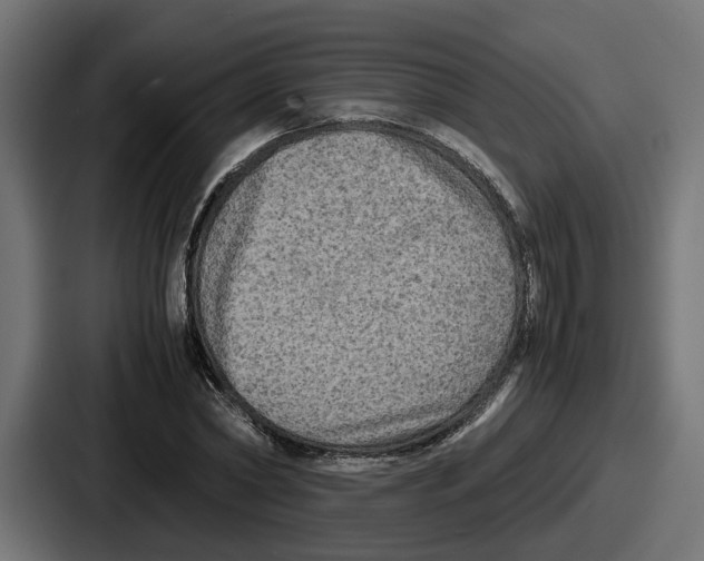 X0000086760782200705111714