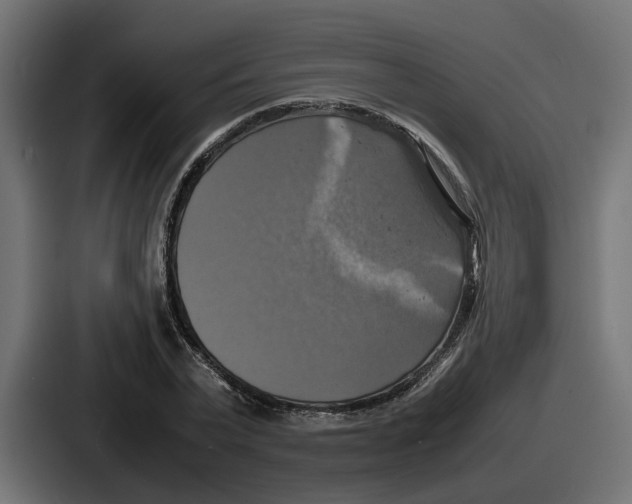 X0000086760783200705111714